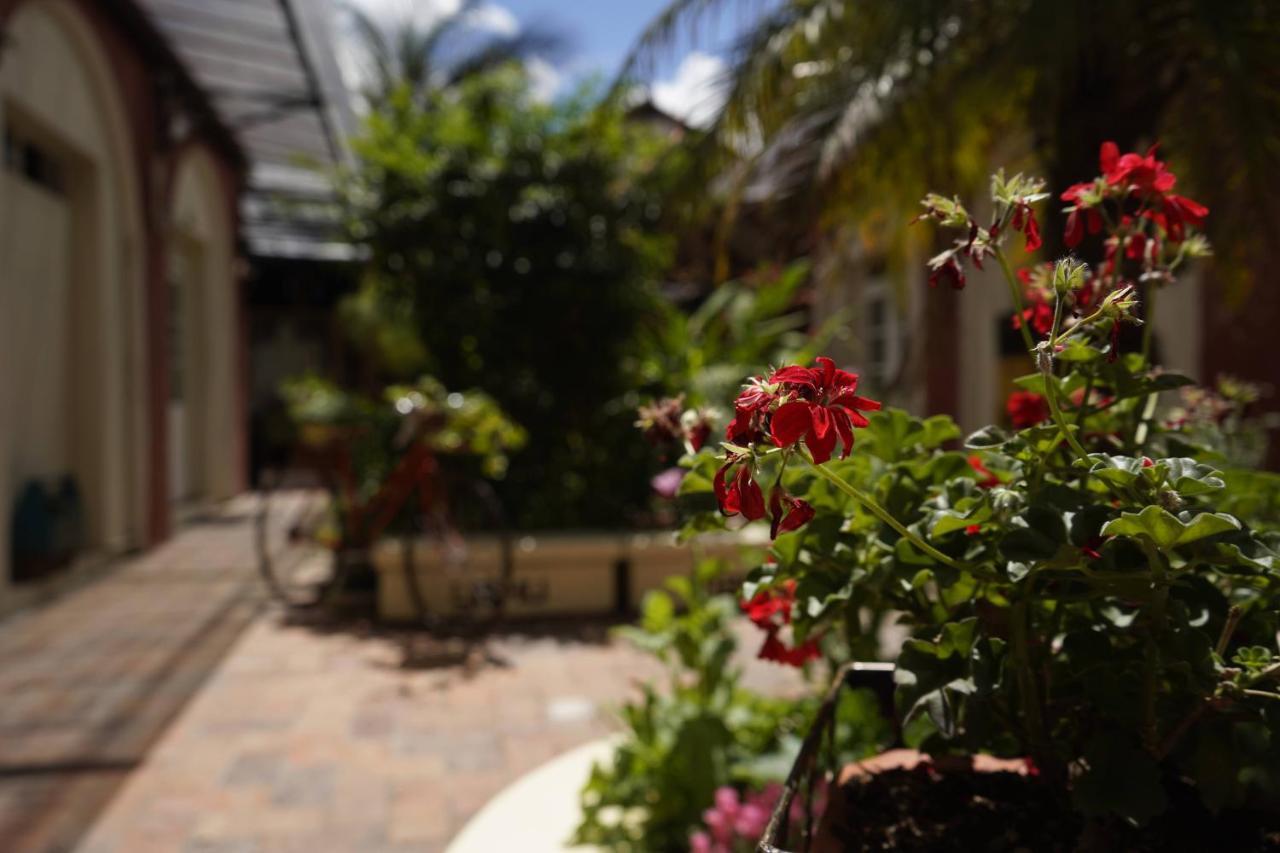 Hostal Yakumama Cuenca Kültér fotó