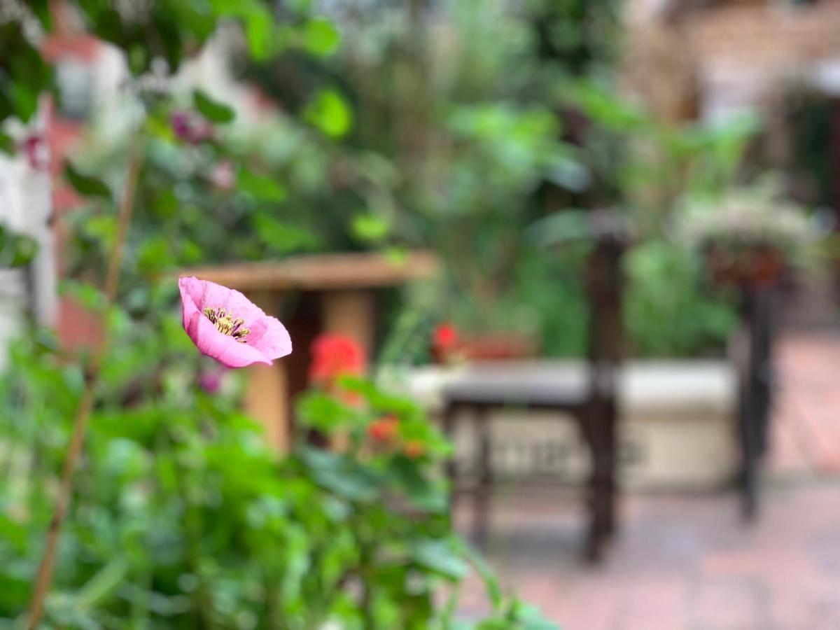Hostal Yakumama Cuenca Kültér fotó