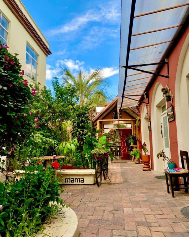 Hostal Yakumama Cuenca Kültér fotó